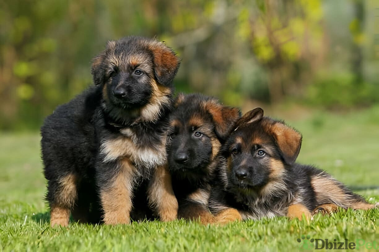 [GetPaidStock_com]-67dd522b66d3b (1)