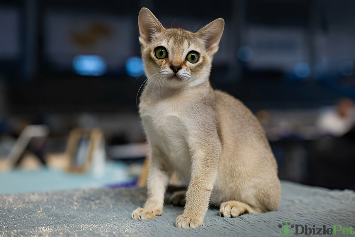 [GetPaidStock_com]-679b7b63b97ae