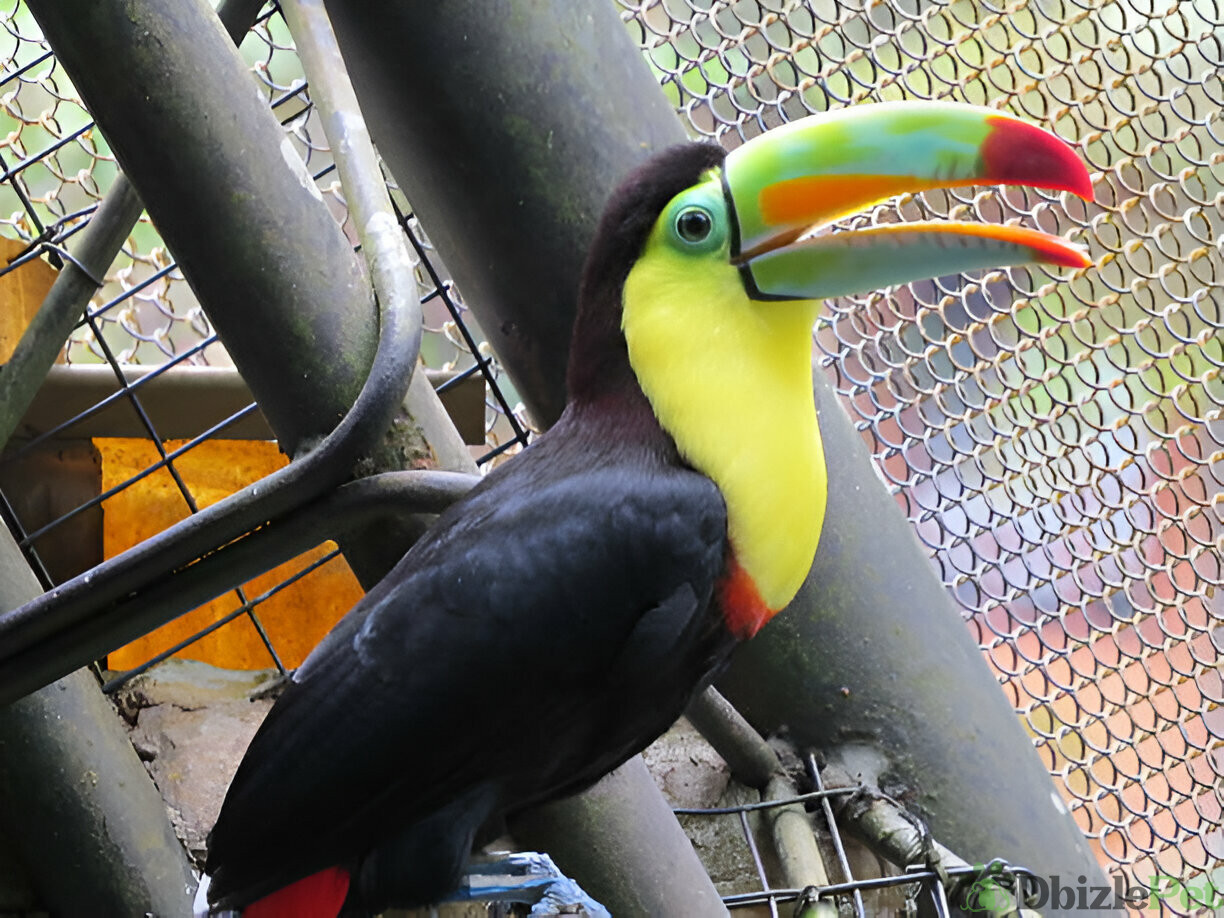 [GetPaidStock_com]-67a1a7856a915