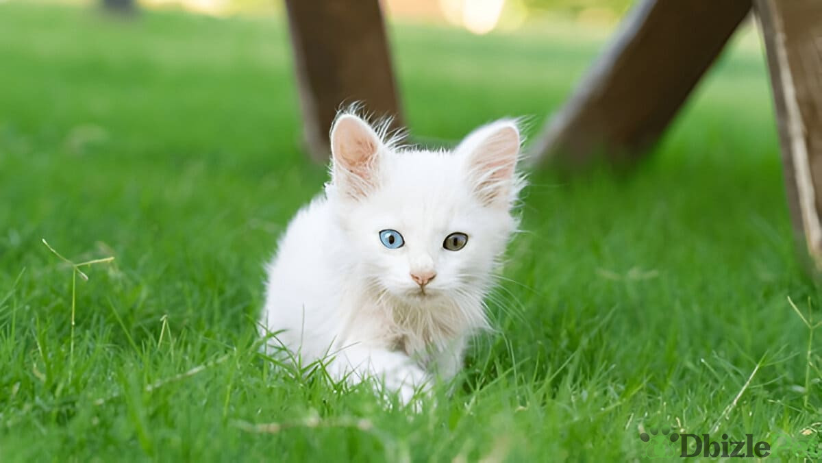 [GetPaidStock_com]-679c675d4f789