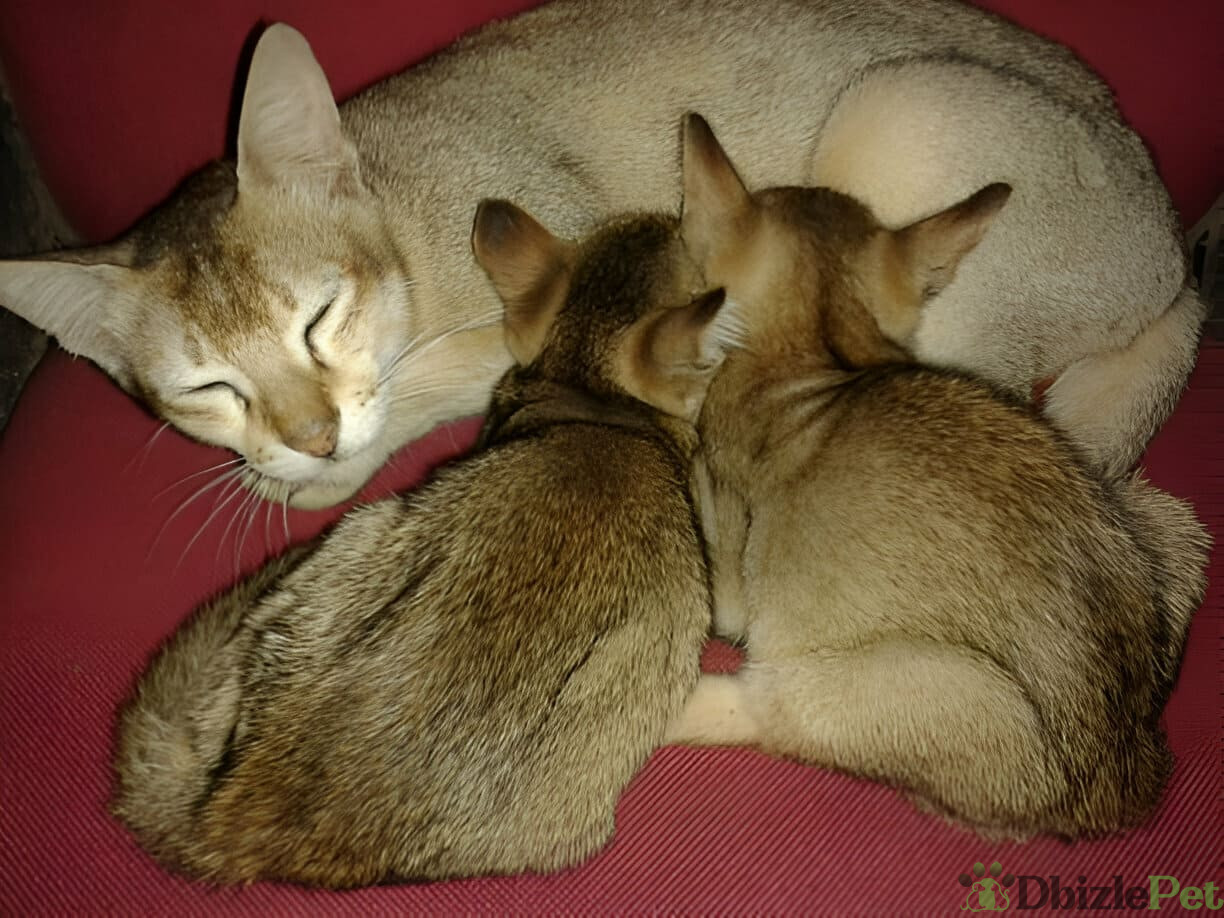 [GetPaidStock_com]-679c8100c5ef1