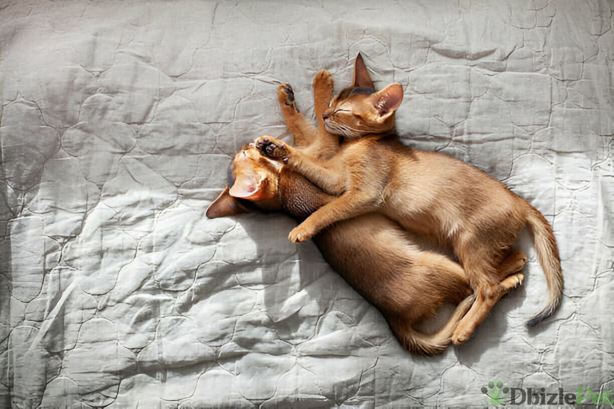 [GetPaidStock_com]-679c8167c333f