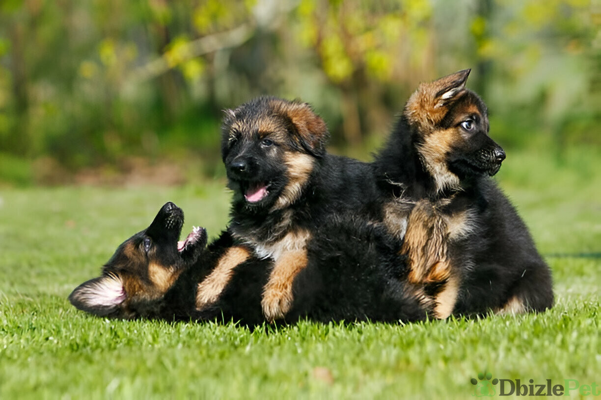 [GetPaidStock_com]-67dd52637c111