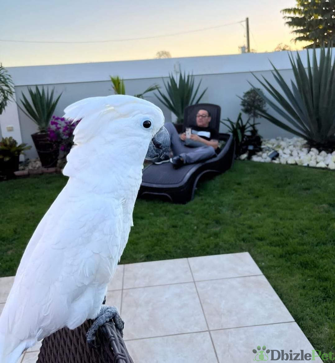 FB_IMG_1717933863738